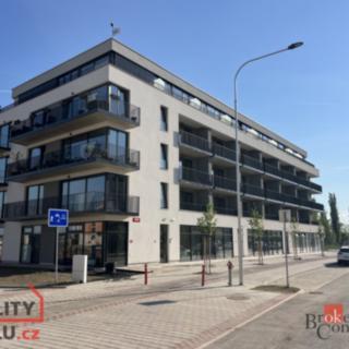 Pronájem bytu 1+kk a garsoniéry 38 m² Plzeň, Měděná