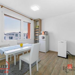 Pronájem bytu 1+1 39 m² Tachov, 