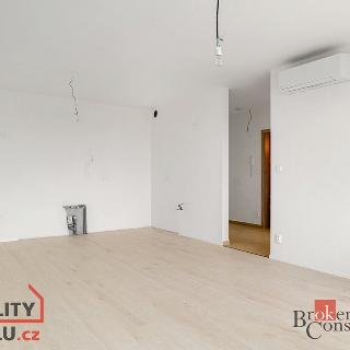 Prodej bytu 2+kk 49 m² Plzeň, Kartónová