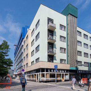 Pronájem bytu 2+1 43 m² Pardubice, Pernerova