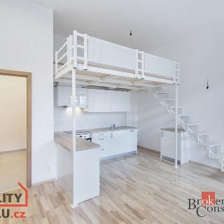 Pronájem bytu 1+kk a garsoniéry 35 m² Plzeň, Nerudova