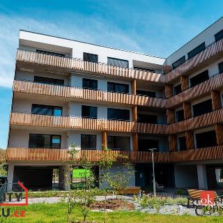 Pronájem bytu 1+kk a garsoniéry 54 m² Plzeň, Kartónová