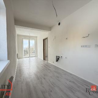 Prodej bytu 1+1 38 m² Nová Role, Svobodova