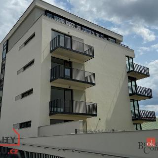 Pronájem bytu 2+kk 53 m² Plzeň, Goldscheiderova