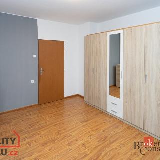 Pronájem bytu 2+1 54 m² Velká Losenice, 