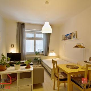 Pronájem bytu 1+kk a garsoniéry 24 m² Praha, Pod pramenem