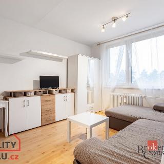 Prodej bytu 1+1 32 m² Židlochovice, sídl. Družba