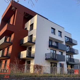 Pronájem bytu 1+kk a garsoniéry 39 m² Praha, 