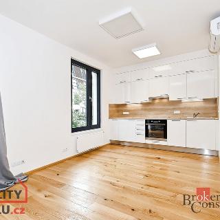 Prodej bytu 1+kk a garsoniéry 35 m² Praha, Pod Havránkou