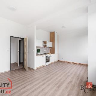 Pronájem bytu 2+kk 46 m² Mlékojedy, 