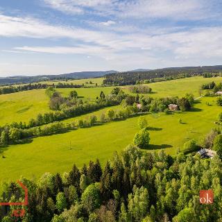 Prodej stavební parcely 6000 m² Rokytnice v Orlických horách