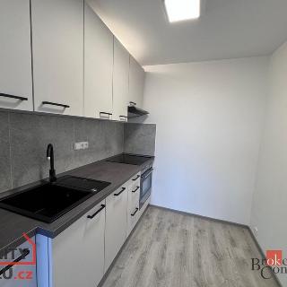 Pronájem bytu 2+kk 54 m² Praha, Zrzavého