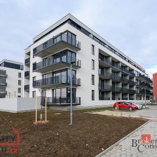 Pronájem bytu 2+kk 80 m² Plzeň, Měděná