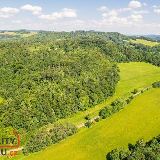 Prodej louky 28 000 m² Františkov nad Ploučnicí, 