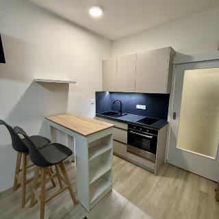 Pronájem bytu 1+kk a garsoniéry 28 m² Brno, Sokolova