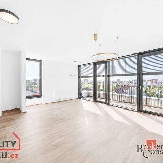 Prodej bytu 2+kk 82 m² Plzeň, Goldscheiderova