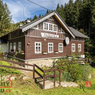 Prodej chalupy 358 m² Desná, Polubenská