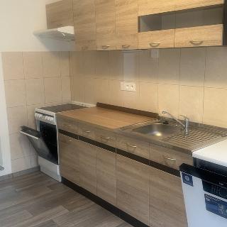 Pronájem bytu 1+kk a garsoniéry 38 m² Planá, Kostelní