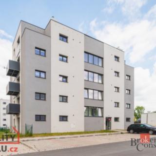 Pronájem bytu 1+kk a garsoniéry 35 m² Heřmanova Huť Vlkýš, U Pondu