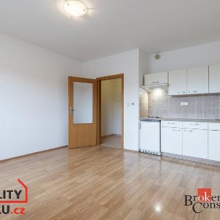 Pronájem bytu 1+kk a garsoniéry 26 m² Brno, Nachová