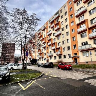 Pronájem bytu 1+1 38 m² Ostrava, Alžírská