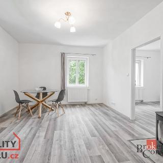 Pronájem bytu 2+1 50 m² Hrádek nad Nisou, 