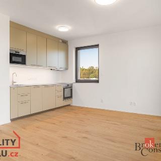 Pronájem bytu 1+kk a garsoniéry 34 m² Plzeň, Kartónová