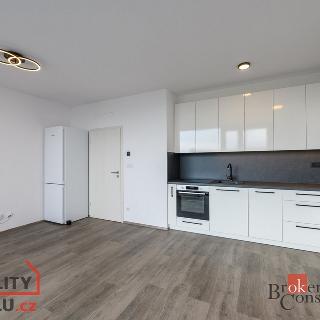 Pronájem bytu 1+kk a garsoniéry 44 m² Plzeň, Železná