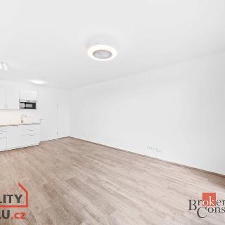 Pronájem bytu 1+kk a garsoniéry 37 m² Plzeň, Železná