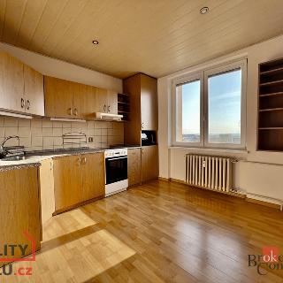 Pronájem bytu 1+1 38 m² Opava, 17. listopadu