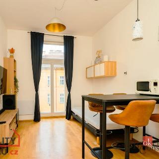 Prodej bytu 1+kk a garsoniéry 22 m² Praha, Příčná