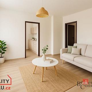 Prodej bytu 1+1 25 m&sup2; Ostrava