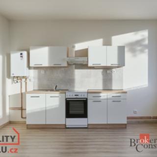 Pronájem bytu 2+kk 50 m² Mlékojedy