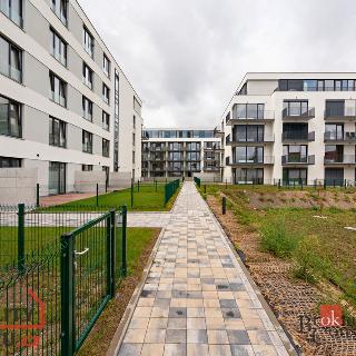 Pronájem bytu 2+kk 69 m² Plzeň, 