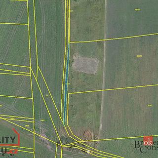 Prodej zemědělské půdy 83191 m&sup2; Křinec