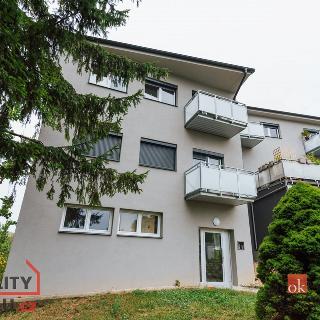 Prodej bytu 2+kk 54 m² Moravský Krumlov, Pionýrská