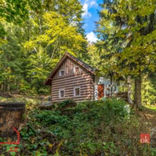 Prodej chalupy 87 m² Lučany nad Nisou, 