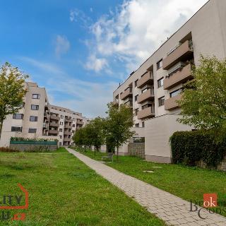 Prodej bytu 2+kk 64 m² Brno, Kigginsova