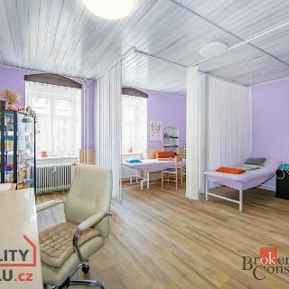 Prodej rodinného domu 300 m² Žlutice, Hradební