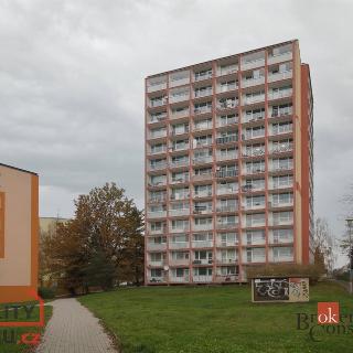 Prodej bytu 2+1 55 m² Česká Lípa, Jižní