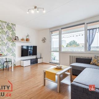 Prodej bytu 2+kk 48 m² Brno, Oderská