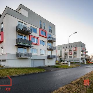 Pronájem bytu 2+kk 55 m² Plzeň, Vstupní