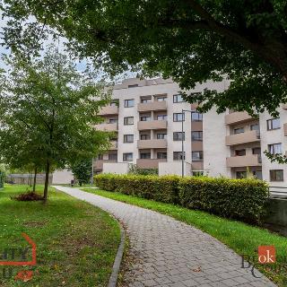 Prodej bytu 2+kk 64 m² Brno, Kigginsova