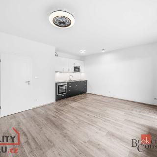 Pronájem bytu 1+kk a garsoniéry 43 m² Plzeň, Železná