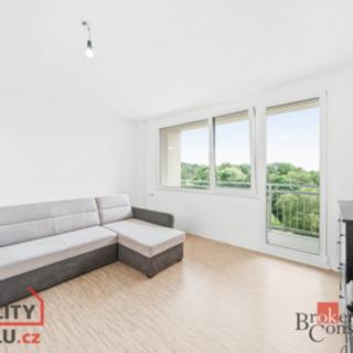 Prodej bytu 3+1 71 m² Planá, Fučíkova