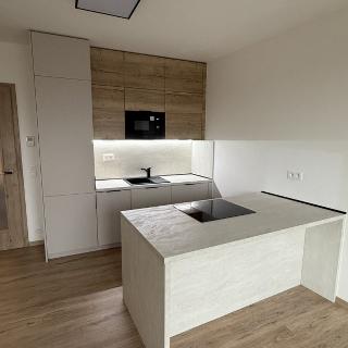 Pronájem bytu 1+kk a garsoniéry 37 m² Ostrava, F. X. Riepla