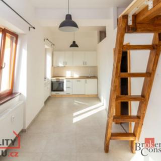 Pronájem bytu 1+kk a garsoniéry 31 m² Světnov, 