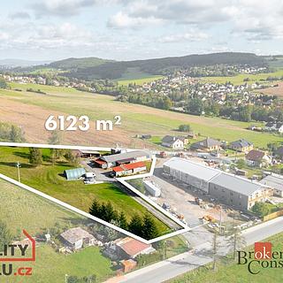 Prodej komerčního pozemku 6123 m&sup2; Zaječov