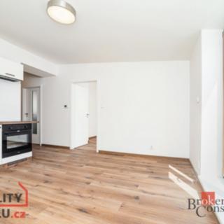 Pronájem bytu 2+kk 41 m² Praha Žižkov, Baranova