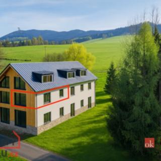 Prodej bytu 1+kk, garsoniery 59 m² Dolní Morava